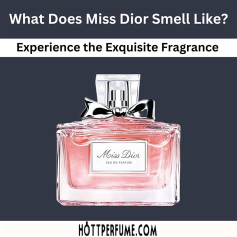 miss dior livre avis|what does miss dior perfume smell like.